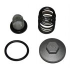 Hammerhead Oil Drain Plug and Screen Kit for 150cc, GY6 - M150-1003104-KIT