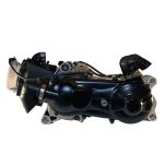Trailmaster 200EFI Engine Assembly, Complete (168.9cc) for EFI Vehicles- 1000040200G000