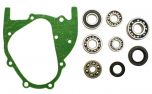 Hammerhead Transmission Bearing and Seal Kit for 150cc with External Reverse - M150-1041000-KIT