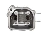 Trailmaster Taurus 200 Cylinder Head Assembly with Valves - 1MEX111100
