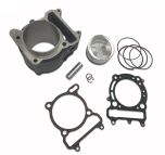 Trailmaster Taurus 450 Top End Engine Assembly for 450 Taurus - 1MQ1131100-KIT