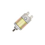 Trailmaster Starter Motor for Taurus 450 - 1MQ8189000