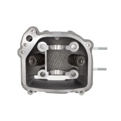 Trailmaster Taurus 200 Cylinder Head Assembly with Valves - 1MEX111100
