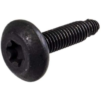 Hammerhead Screw, M6 x 1.0 x 25 Torx Screw - 7519650