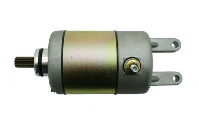 Hammerhead Starter Motor for 300cc - 169.06.110