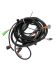 American Landmaster Wiring Harness, Standard Cab Street Lights, 2022 & Newer - 19595