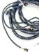 American Landmaster Wiring Harness for Crew EV, AMP - 19961