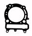 Trailmaster Gasket, Cylinder Gasket for Taurus 450 - 1MQ1135100 