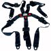 Trailmaster Seat Belt Assembly 5-Point, One-Side Only for Blazer 200 - 6000354080g000 replaces 6000328080G000, 6.000.354-MINI/MID