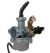 Apollo PZ22 22mm Carburetor - 101342