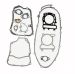 Hammerhead Gasket Kit for 300cc vehicles - 300gasketkit