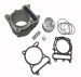 Trailmaster Taurus 450 Top End Engine Assembly for 450 Taurus - 1MQ1131100-KIT