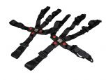 Hammerhead Seat Belt Assembly 5-Point - 6.000.354 replaces 6000354150G000, 50116, 6000356150G000