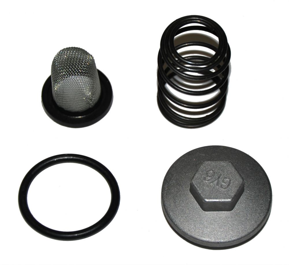 Oil Drain Plug with Screen Kit for 150cc (M150-1003104-Kit)