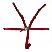 Hammerhead Racing Seat Belt, 5-Point with Metal Latch and Link for Platinum GTS 150 - 6.000.354-P