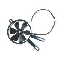 Hammerhead Radiator-Cooling Fan for 250cc, CF250 - 6.100.249
