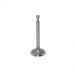 Hammerhead Intake Valve for Honda-Clone 5-6.5hp Engines - JF168-F-07 replaces 14711-Z4V-900