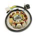 Hammerhead Stator / Magneto, High-Output for R-150 / 200 Series UTVs - 15120
