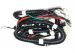 Hammerhead Wiring Harness for LE 150 - H2410003