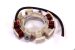 Hammerhead LCT Stator, Charging Coil, 60-w for Mudhead / 208R / 208cc - 20804141
